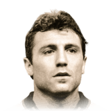 Hristo Stoichkov 